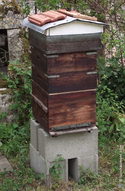 La ruche avec deux rehausses